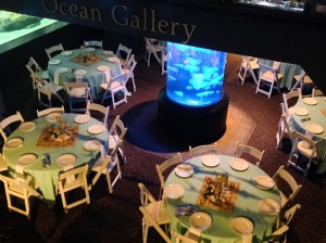 ocean-gallery     