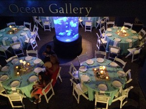 ocean-gallery2     